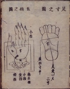 16029.b.5 fol.15v Kaavio käsien ja jalkojen akupunktiopisteistä japanilaisesta kommentista kiinalaiselle akupunktiotyölle, Shisijing fahui vuodelta 1341, Hua Shou, Kioto tekijältä Japanese School
