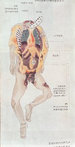 Irrotettu ruumis vuoden 1796 kidutuksen uhrin dissektiosta, Midorin lääkärin makimonosta, 1842 (kynä & muste ja wc paperilla) tekijältä Japanese School