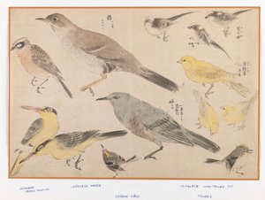 Birds in Okyo Style (puupalkin väriprintti) tekijältä Japanese School