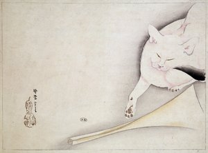 Kissa, japanilainen piirustus, n.d. 1800-luvulla. tekijältä Japanese School