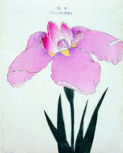 Enuno. -Sora. 8, 1898