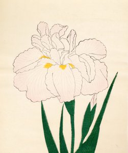 En-Yo-No-Ten, nro 73, 1890 (värillinen puupainatus) tekijältä Japanese School
