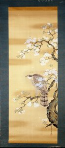 Haukka japanilaisen kirsikan oksalla kukkii. Silkkimaalausta 1700-luvulta Japanista. Genova. Museo Chiossone. tekijältä Japanese School