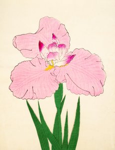 Triumfaali, of. 90, 1890 tekijältä Japanese School