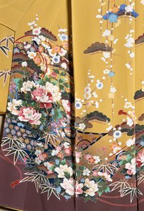 Kimono Furisode (keiluvat hihat), joita nuoret naimattomat naiset käyttävät tyylikkäissä tilaisuuksissa ja Maiko (opettajageisha), sileä silkki, kukkakuvioita, kelluvia nauhoja, Kaga-Yuzen-värjäys, Tokamachin kutomakoneet, japanilainen sivilisaatio, 1900-l tekijältä Japanese School