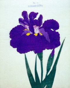 Lapsen kantava karhu. 14, 1898 tekijältä Japanese School