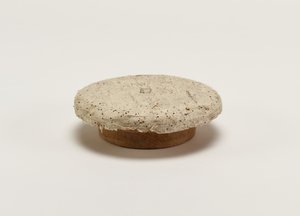 Teelehtien säilytyspurkin suukansi, 1800-luvun loppu - 1900-luvun alku tekijältä Japanese School