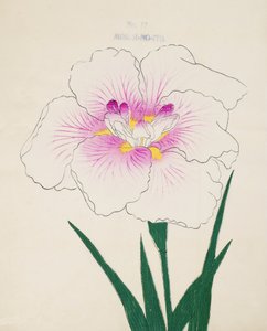 Neiti Gino. - Lanka. 17, 1898 tekijältä Japanese School
