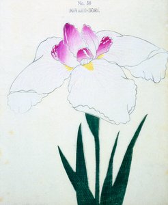 Mikä on pääkaupunki? 50, 1898 tekijältä Japanese School