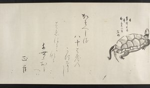 Tai. 14872, f.29, Kilpikonna, Yoshida Seisailta (käsirulla) tekijältä Japanese School