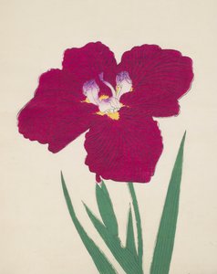 Tai-Hei-Raku, nro 18, 1890 (värillinen puupainatus) tekijältä Japanese School