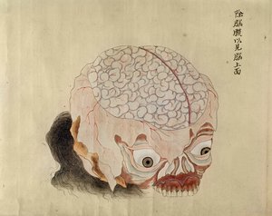 Aivojen anatomia vuoden 1796 kidutuksen uhrin dissektiosta, Midorin lääkärin makimonosta, 1842 (kynä & muste ja wc paperilla) tekijältä Japanese School