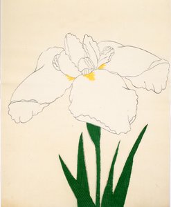 Vine-ei-villapaita. 33, 1890 (Tämä on DBock p Hayashi t) tekijältä Japanese School