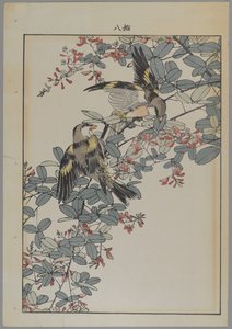 Kaksi lintua vaaleanpunaisilla kukilla, Meiji-kausi, n. 1868-1912 (värillinen puupainatus) tekijältä Japanese School