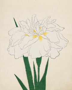 Ujaku-No Nagisa. 61, 1890 tekijältä Japanese School