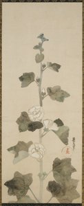 Valkoiset hollyhocks, Edo-kausi, 1615-1868 (muste, sävy ja kulta paperille) tekijältä Japanese School