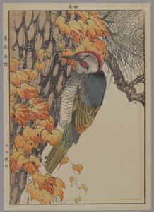 Tikka, 1892 (värillinen puupainatus) tekijältä Japanese School