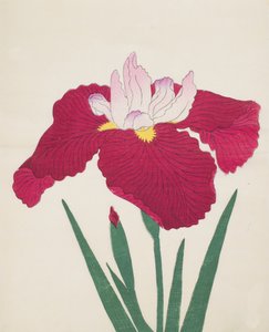 Yamamatayama, nro 83, 1890 (värillinen puupainatus) tekijältä Japanese School