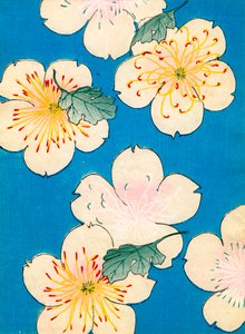 värillinen puupalikkaprintti Dogwood Blossomsista tekijältä Japanese School