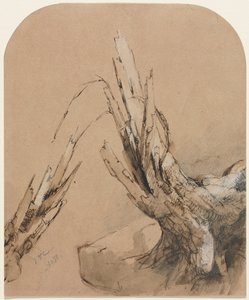 Räjäytyspuu, 1851. tekijältä Jasper Francis Cropsey
