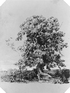  tekijältä Jasper Francis Cropsey