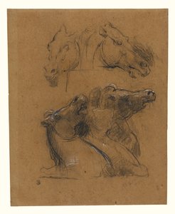 Studien von Pferden (nach den Elgin-Marmoren)