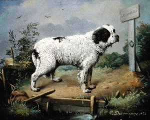 Newfoundland pengertiellä tekijältä Jean Baptiste Desgrange