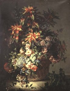 Rosen, Winden, Mohn, Geißblatt und andere Blumen