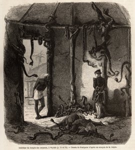 Fetiches-käärmetemppelin sisällä, Wydahissa, Dahomeyssa (nykyinen Benin), Jean Antoine Foulquierin (1822-1896) piirros havainnollistamaan tohtori Repinin matkaa Dahomeyyn vuonna 1860. Kaiverrus "" Le tour du monde" ”, toimittanut Edouard Charton