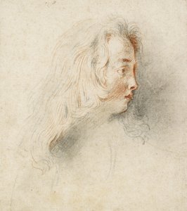 Pojan pää profiilissa (mustaa ja punaista liitua värjätyllä luonnonvalkoisella paperilla). tekijältä Jean Antoine Watteau