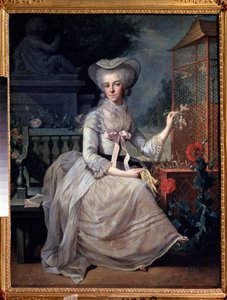 ""Young Lady at a Cage"" (Nuori nainen häkissä) Jean-Baptiste (Jean Baptiste) Charpentier (1728-1806) maalaus 1784 Pushkin Museum, Moskova