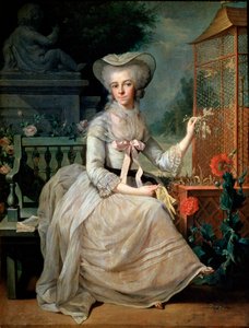 Nuori nainen häkissä, 1784 tekijältä Jean Baptiste Charpentier the Elder