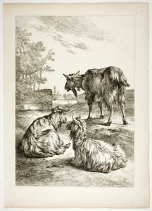 Levy 18/38 teoksesta Oeuvres de J. B. Huet tekijältä Jean Baptiste Huet