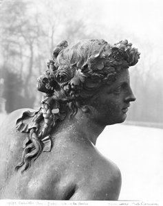 Saone-joki Parterre d