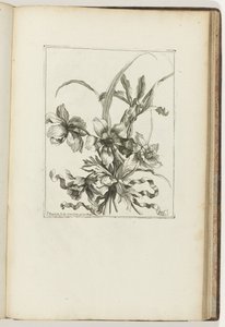 Sidottu kimppu Les Petits Bouquets (sarjan nimi) tekijältä Jean-Baptiste Monnoyer