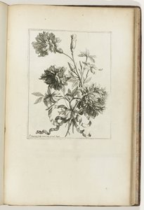 Sidottu kimppu Les Petits Bouquets (sarjan nimi) tekijältä Jean-Baptiste Monnoyer