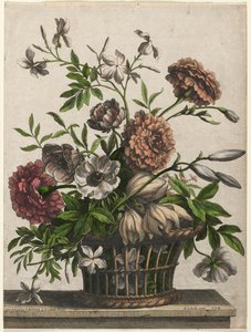 Marigolds, single Anemone, Jasmine... tekijältä Jean Baptiste Monnoyer I