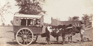 [Campbell Twins in a Shigram, General Governor