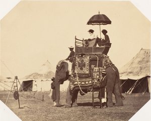 [Lady Canning], 1858-61. tekijältä Jean Baptiste Oscar Mallitte