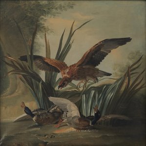 Haukka lyömässä ankkaparia tekijältä Jean Baptiste Oudry