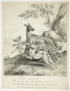 Koirien hyökkäämä peura tekijältä Jean Baptiste Oudry