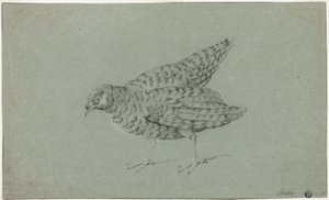 Peltopyy tekijältä Jean Baptiste Oudry