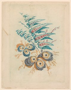 Nouvelle Suitete de Cahiers de Fleurs Idéalesin upea kukka-aihe tekijältä Jean Baptiste Pillement