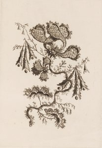 Flower Branch, de "Fleures Persannes"finès tekijältä Jean Baptiste Pillement