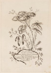 Nimisivu, teoksesta "Persian Flowers" tekijältä Jean Baptiste Pillement