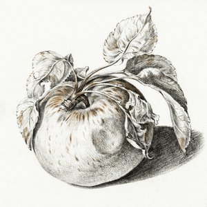 Apple tekijältä Jean Bernard