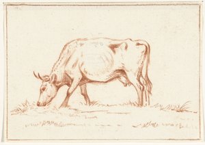 Vaca pasturant, a l