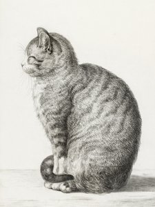 Istuva kissa (1815)