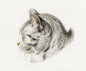 Kissan luonnos (1813)