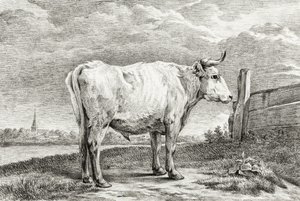 Standing Bull (1817) tekijältä Jean Bernard